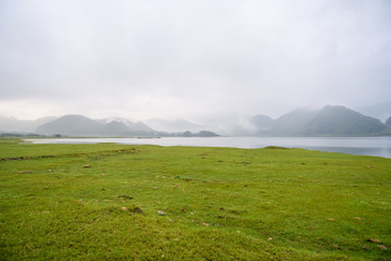 沉木放在鱼缸里水发黄怎么办