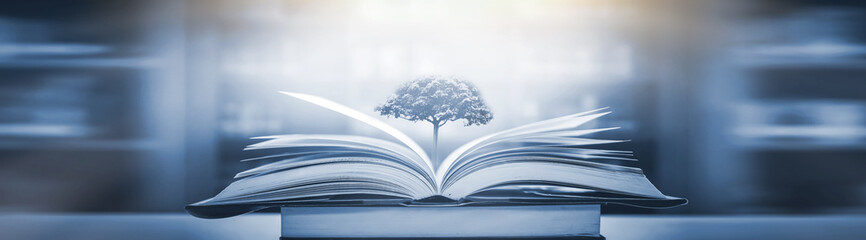 楚留香平民选择哪个职业好？