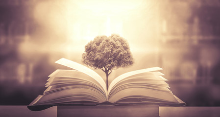 大货车刹车片着火火了怎么办