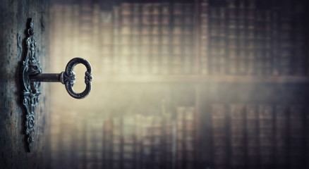 电子商务的产生和发展经历了哪几个阶段