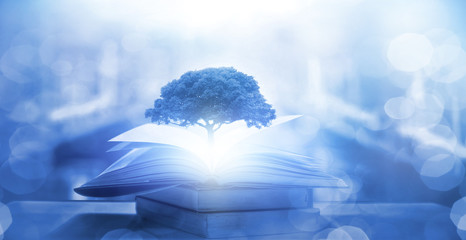 电子商务的产生和发展经历了哪几个阶段