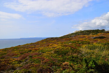 大货车刹车片着火火了怎么办