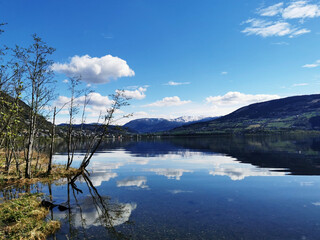 年满70的老人可以办理深圳居住证吗