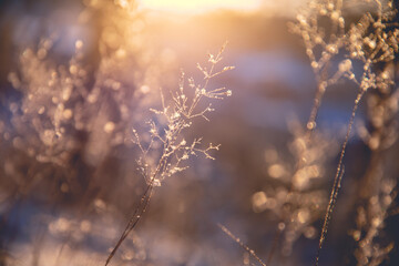 二婚夫妻最难熬的三道坎是什么