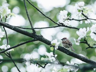 楚留香平民选择哪个职业好？