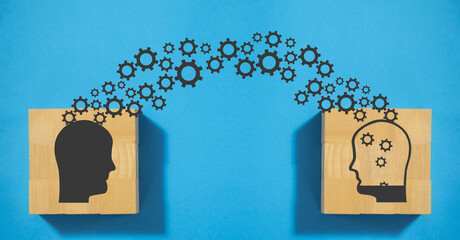 沉木放在鱼缸里水发黄怎么办