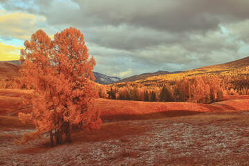 楚留香平民选择哪个职业好？