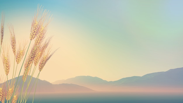 婚礼通知朋友圈怎么写