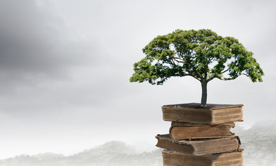 减肥晚餐吃什么食物好？