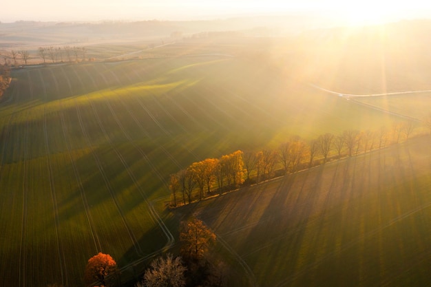 婚礼通知朋友圈怎么写