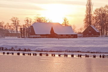 沉木放在鱼缸里水发黄怎么办