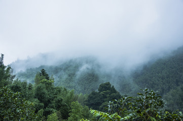 大货车刹车片着火火了怎么办